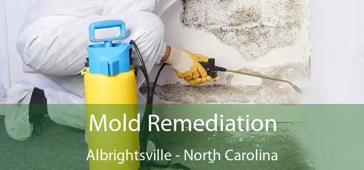 Mold Remediation Albrightsville - North Carolina