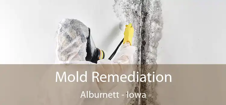 Mold Remediation Alburnett - Iowa