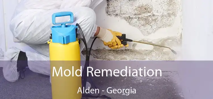 Mold Remediation Alden - Georgia