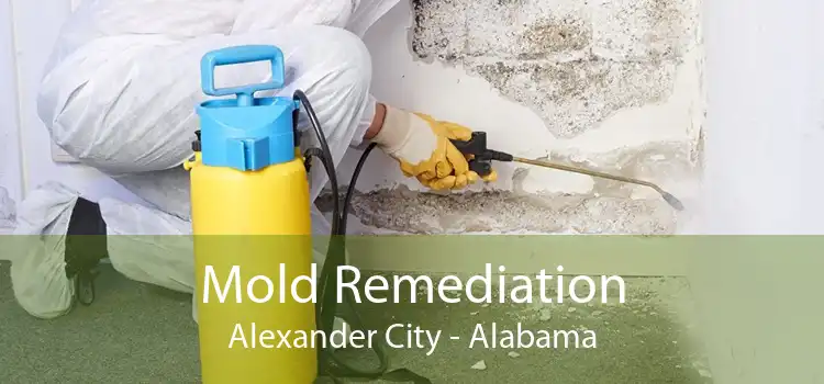 Mold Remediation Alexander City - Alabama