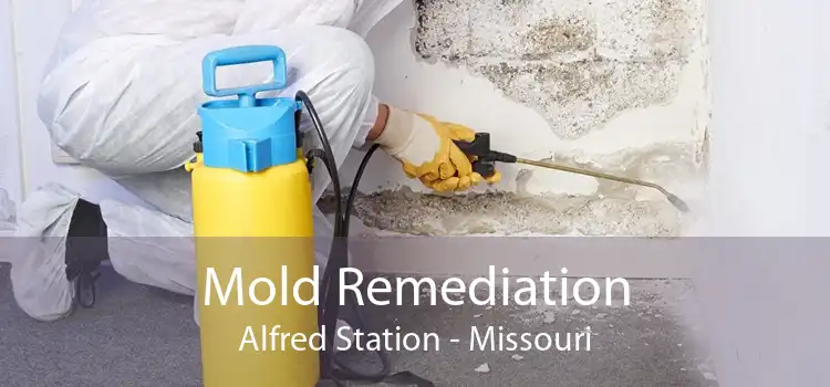 Mold Remediation Alfred Station - Missouri