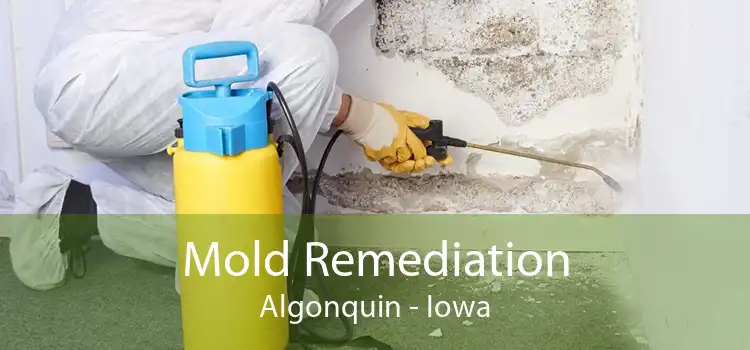 Mold Remediation Algonquin - Iowa