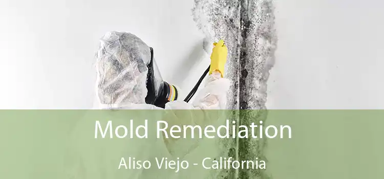 Mold Remediation Aliso Viejo - California