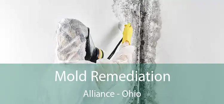 Mold Remediation Alliance - Ohio