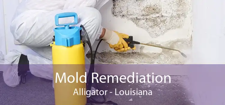 Mold Remediation Alligator - Louisiana
