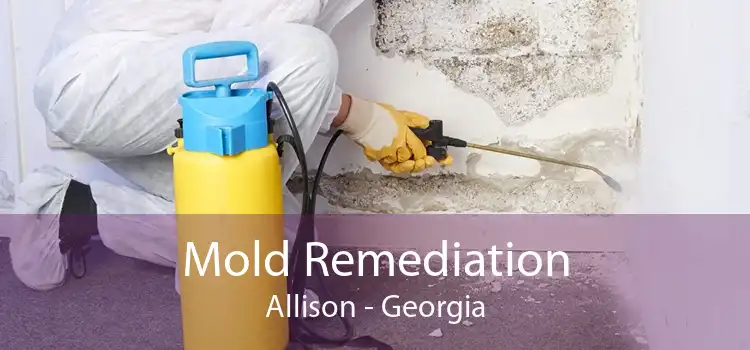 Mold Remediation Allison - Georgia