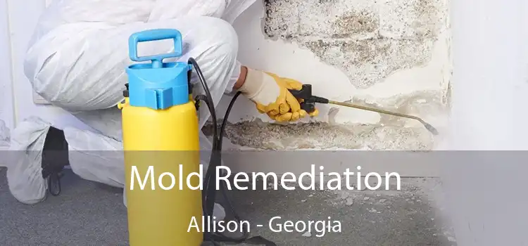 Mold Remediation Allison - Georgia