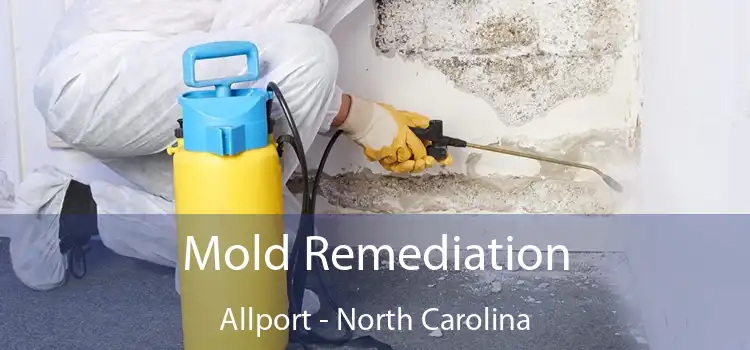 Mold Remediation Allport - North Carolina