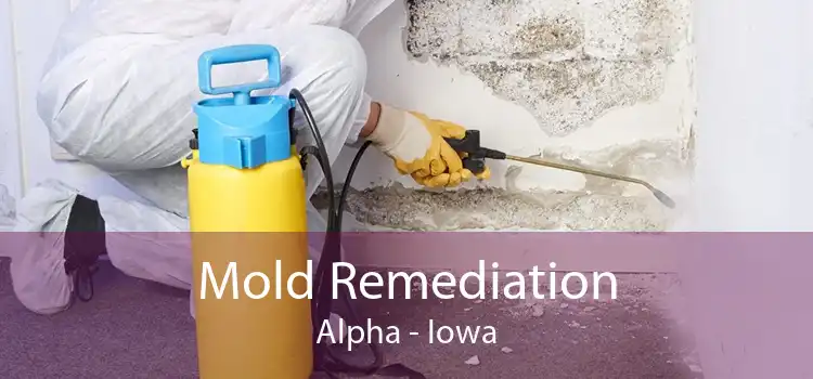 Mold Remediation Alpha - Iowa
