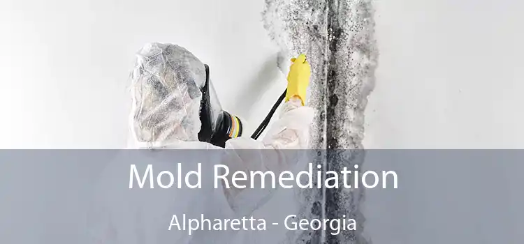 Mold Remediation Alpharetta - Georgia