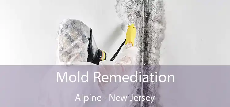 Mold Remediation Alpine - New Jersey
