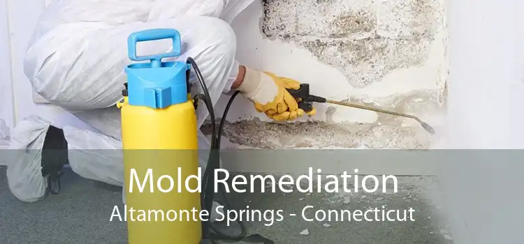 Mold Remediation Altamonte Springs - Connecticut