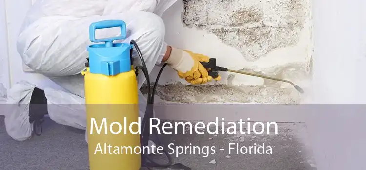 Mold Remediation Altamonte Springs - Florida