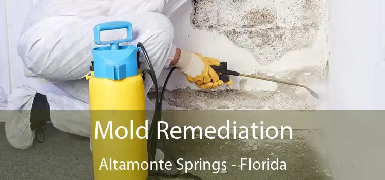 Mold Remediation Altamonte Springs - Florida