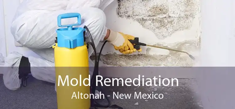Mold Remediation Altonah - New Mexico