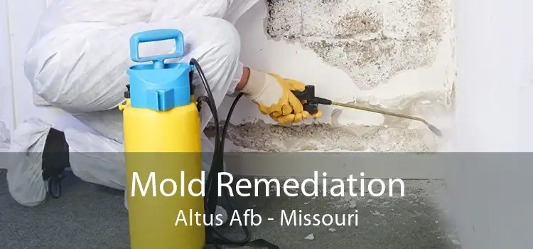 Mold Remediation Altus Afb - Missouri