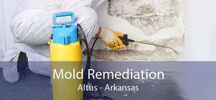 Mold Remediation Altus - Arkansas