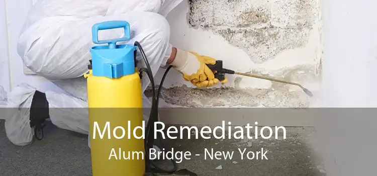 Mold Remediation Alum Bridge - New York