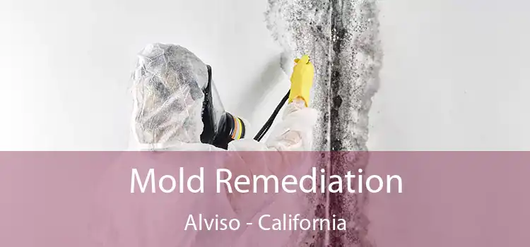 Mold Remediation Alviso - California