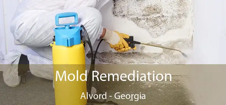 Mold Remediation Alvord - Georgia