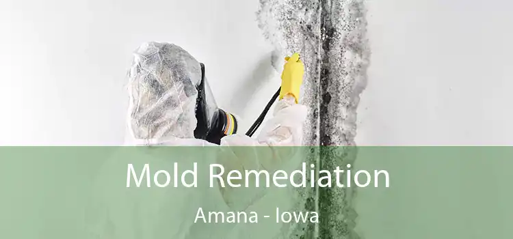 Mold Remediation Amana - Iowa