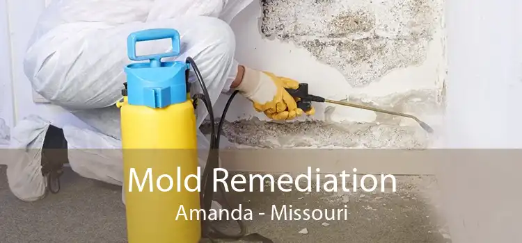 Mold Remediation Amanda - Missouri