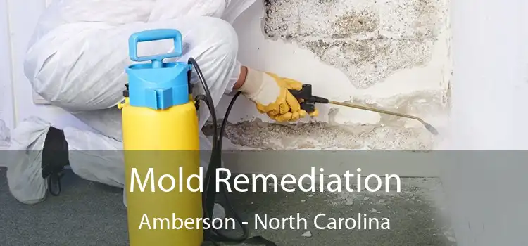 Mold Remediation Amberson - North Carolina