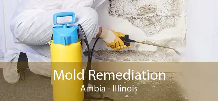 Mold Remediation Ambia - Illinois