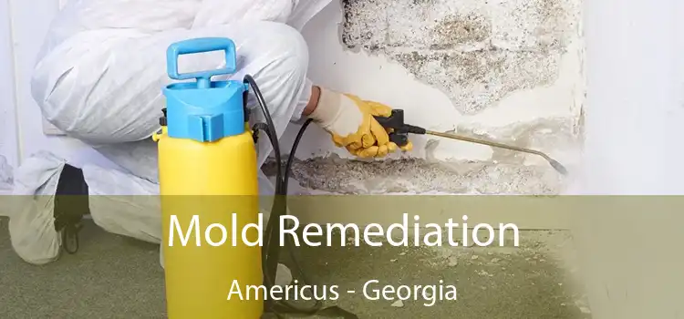 Mold Remediation Americus - Georgia