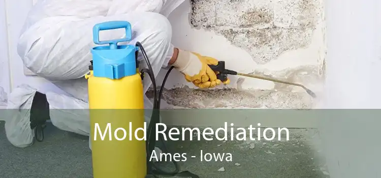 Mold Remediation Ames - Iowa