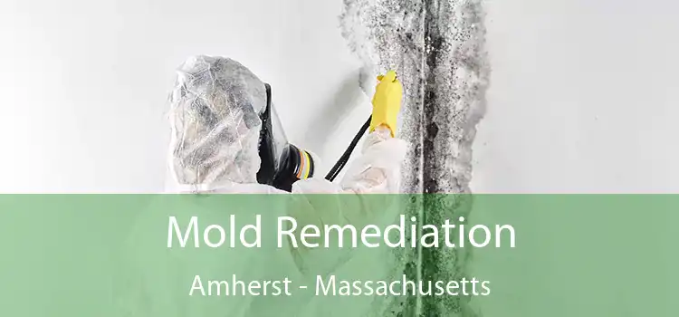 Mold Remediation Amherst - Massachusetts