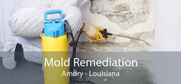 Mold Remediation Amory - Louisiana