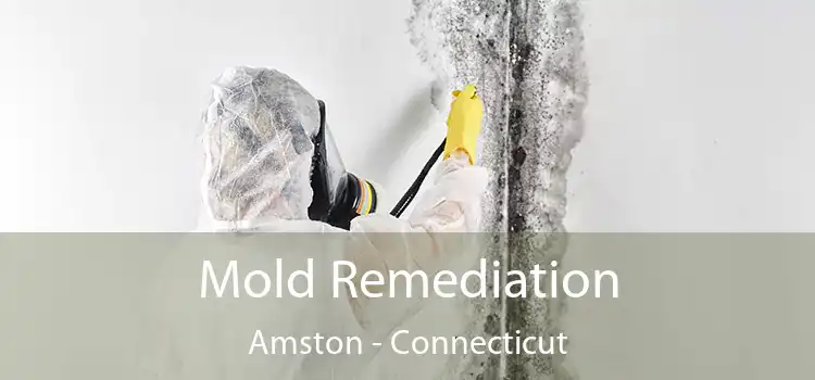 Mold Remediation Amston - Connecticut