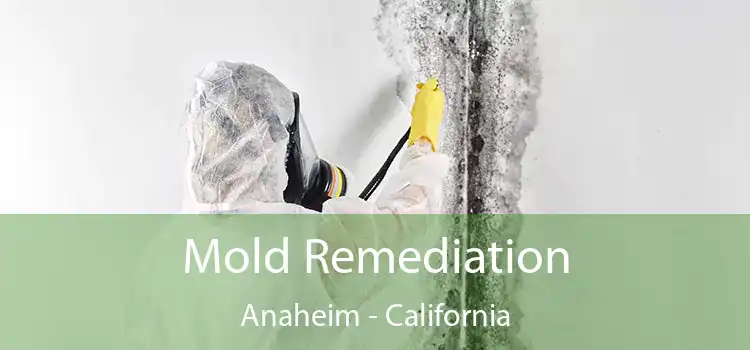 Mold Remediation Anaheim - California