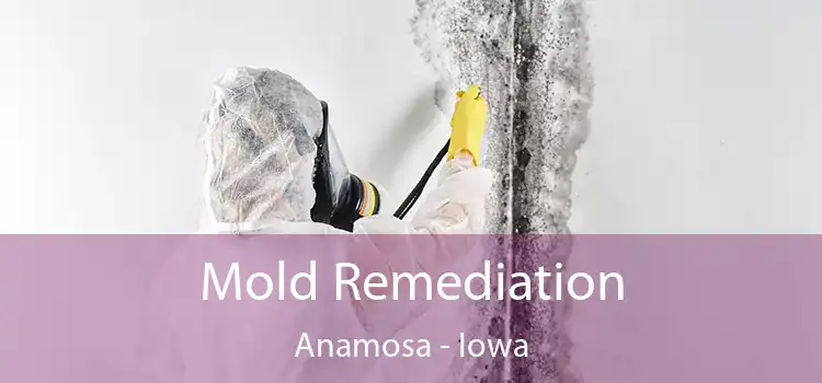 Mold Remediation Anamosa - Iowa