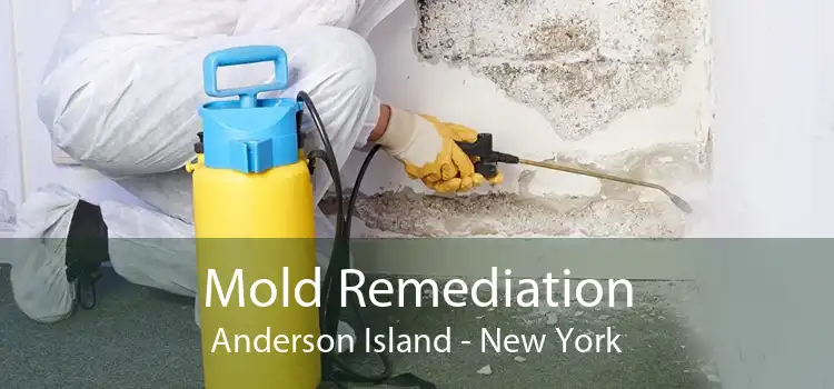 Mold Remediation Anderson Island - New York