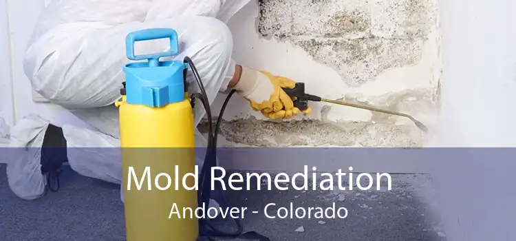 Mold Remediation Andover - Colorado