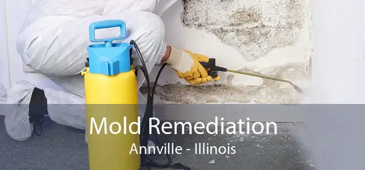 Mold Remediation Annville - Illinois