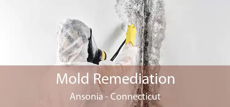 Mold Remediation Ansonia - Connecticut
