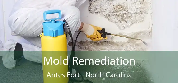 Mold Remediation Antes Fort - North Carolina