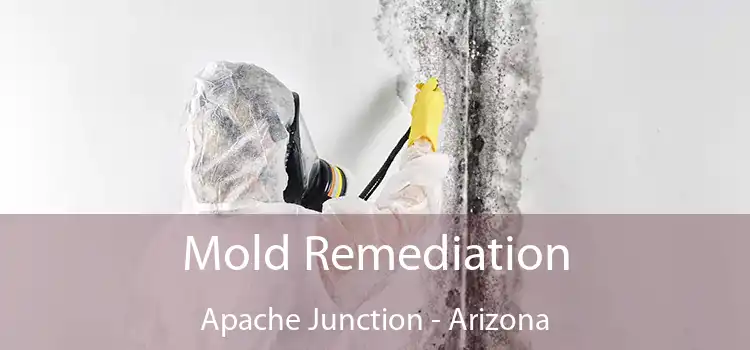 Mold Remediation Apache Junction - Arizona