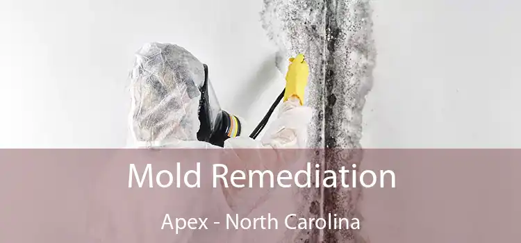 Mold Remediation Apex - North Carolina