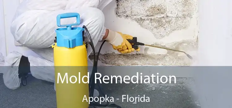 Mold Remediation Apopka - Florida