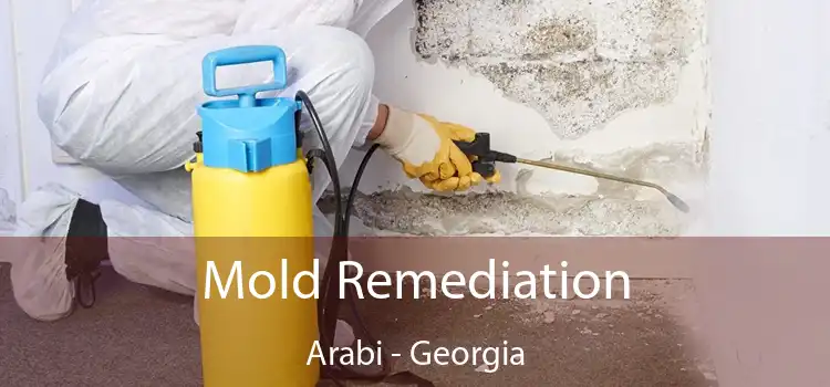 Mold Remediation Arabi - Georgia