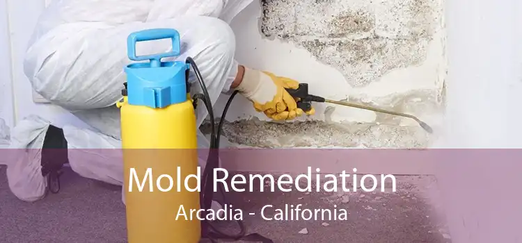Mold Remediation Arcadia - California