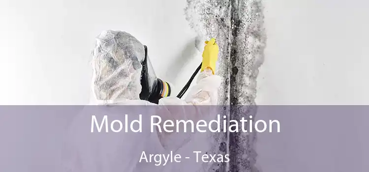Mold Remediation Argyle - Texas