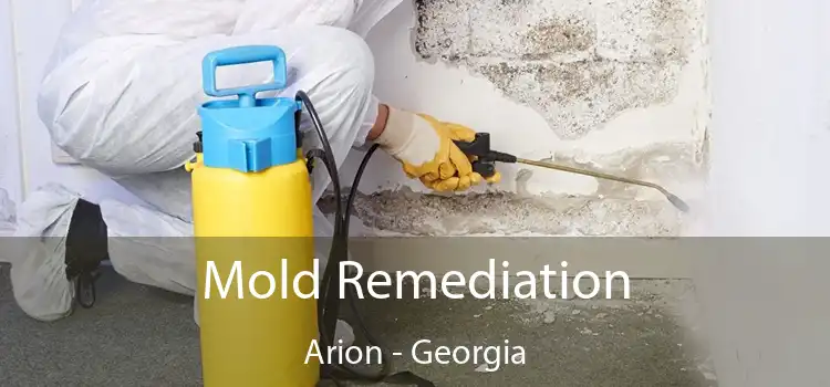 Mold Remediation Arion - Georgia