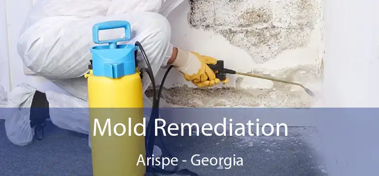 Mold Remediation Arispe - Georgia