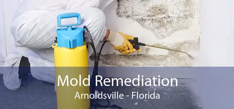 Mold Remediation Arnoldsville - Florida