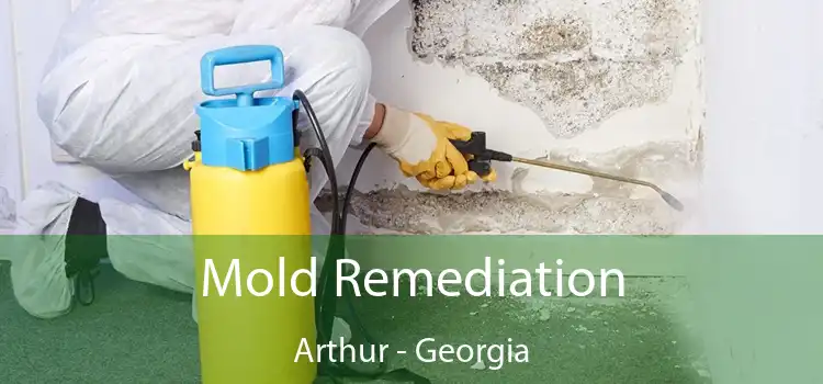 Mold Remediation Arthur - Georgia